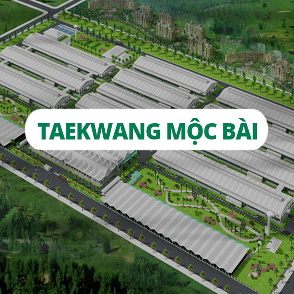 taekwang moc bai logo